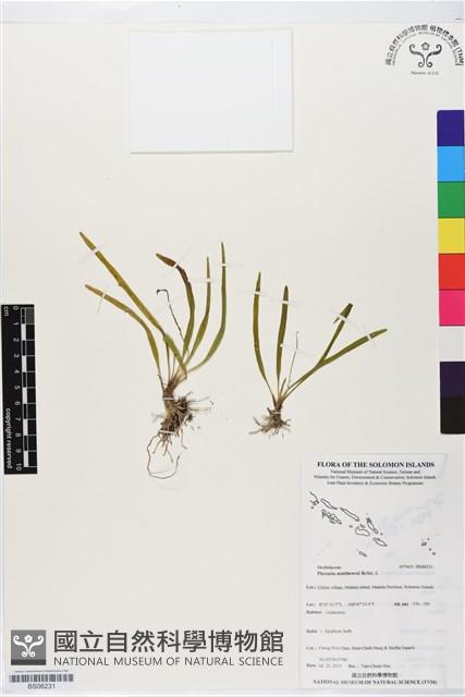 登錄號:BS06231藏品圖，第1張