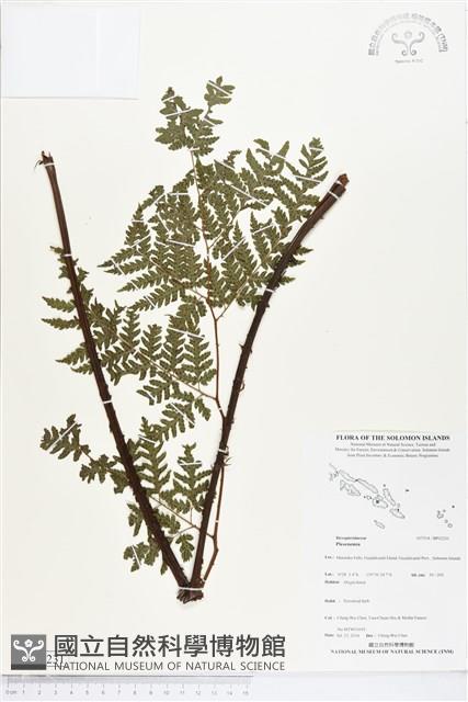 登錄號:BP02231藏品圖，第1張