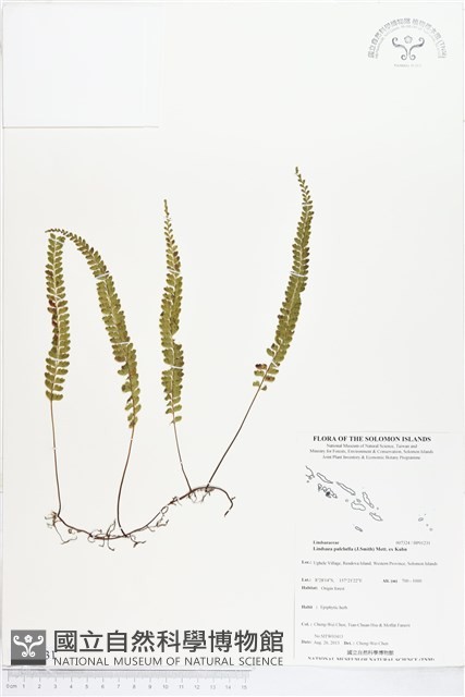 登錄號:BP01231藏品圖，第1張
