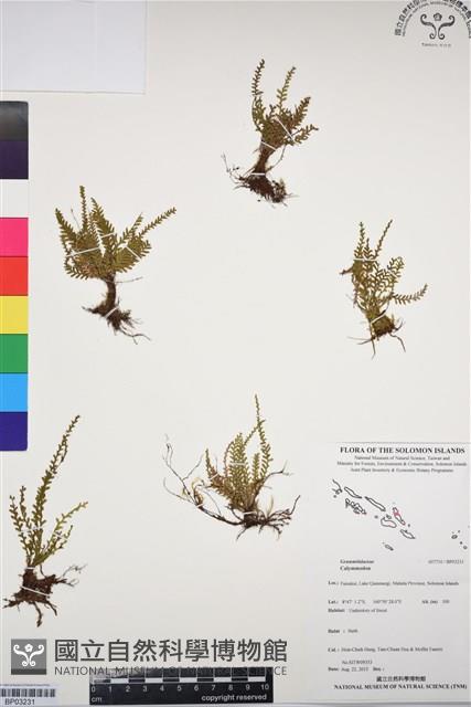 登錄號:BP03231藏品圖，第1張