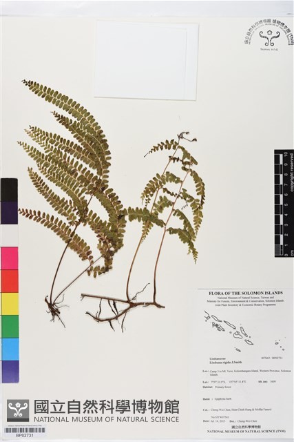登錄號:BP02731藏品圖，第1張