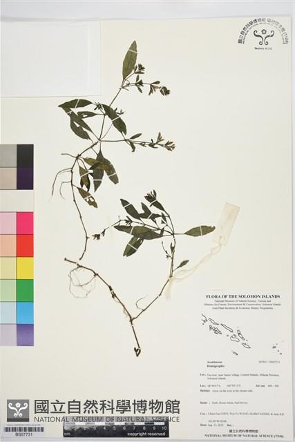 登錄號:BS07731藏品圖，第1張