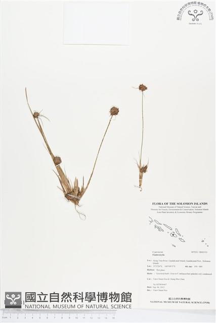 登錄號:BS01531藏品圖，第1張