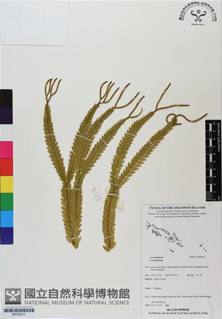 登錄號:BP02931藏品圖，第1張