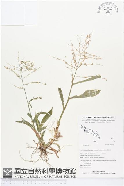 登錄號:BS02931藏品圖，第1張