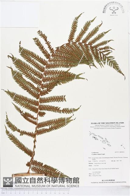 登錄號:BP00931藏品圖，第1張