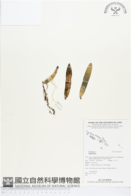 登錄號:BS02331藏品圖，第1張