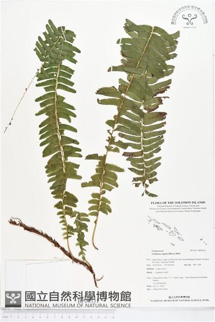 登錄號:BP00331藏品圖，第1張