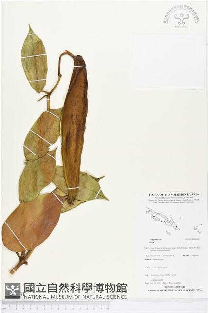 登錄號:BS04331藏品圖，第1張