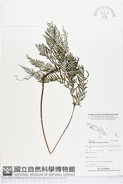 登錄號:BP01825藏品圖，第1張