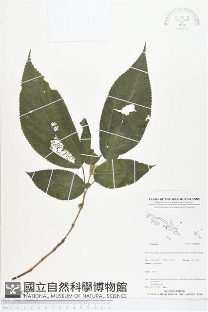 登錄號:BS04825藏品圖，第1張