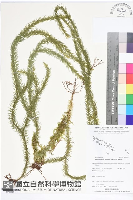 登錄號:BP02625藏品圖，第1張