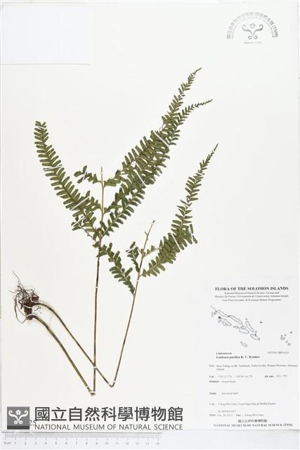 登錄號:BP01625藏品圖，第1張