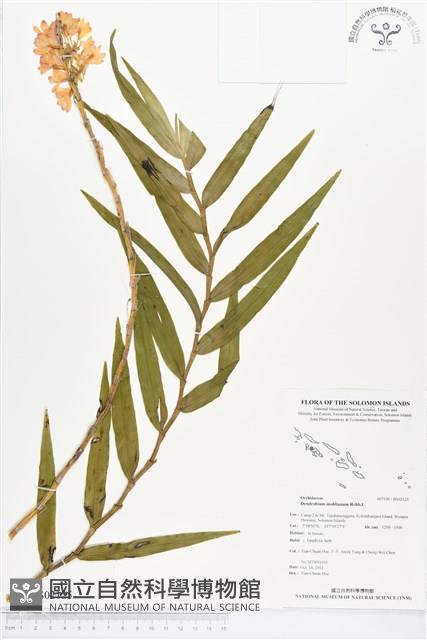 登錄號:BS02125藏品圖，第1張