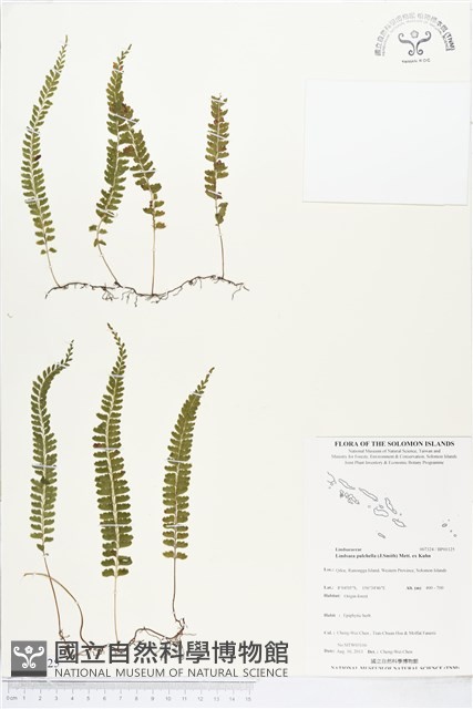 登錄號:BP01125藏品圖，第1張