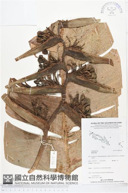 登錄號:BS05125藏品圖，第1張