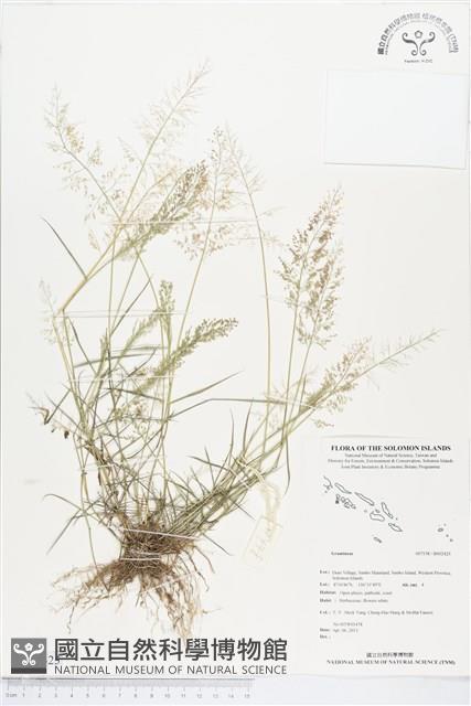 登錄號:BS02425藏品圖，第1張