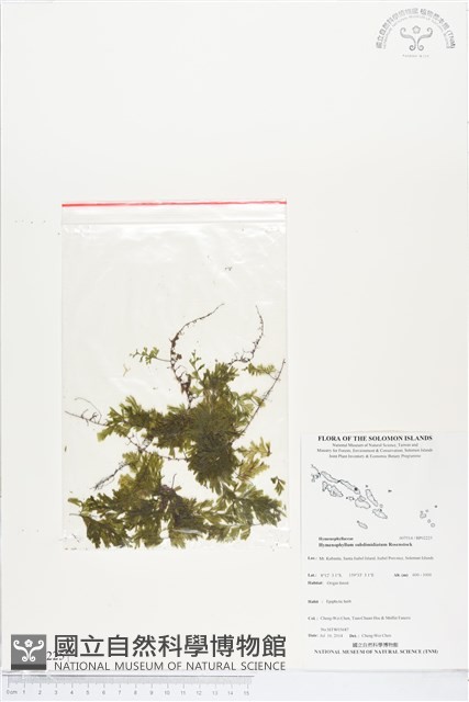 登錄號:BP02225藏品圖，第1張