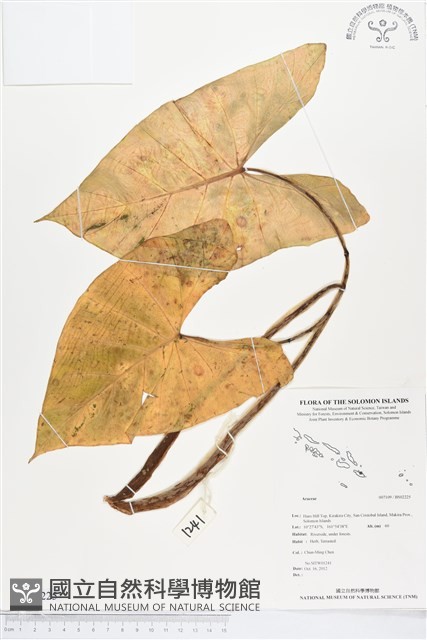 登錄號:BS02225藏品圖，第1張