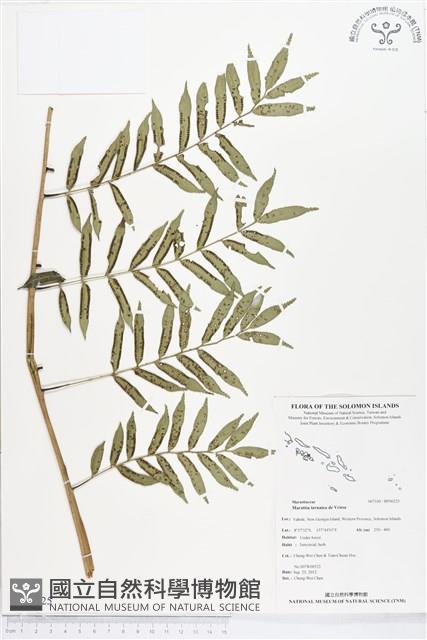 登錄號:BP00225藏品圖，第1張