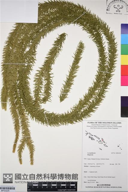 登錄號:BP03225藏品圖，第1張