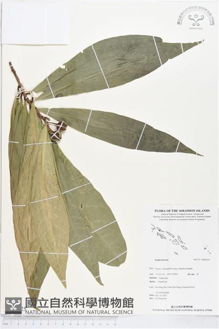 登錄號:BS03225藏品圖，第1張