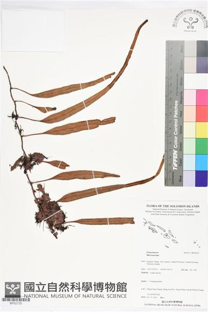 登錄號:BP02725藏品圖，第1張