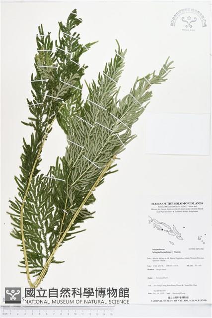 登錄號:BP01725藏品圖，第1張