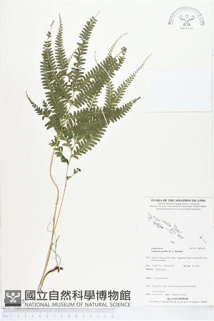 登錄號:BP01525藏品圖，第1張