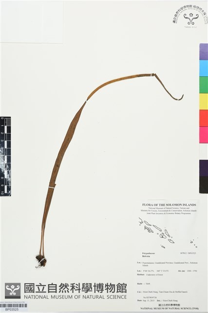 登錄號:BP03525藏品圖，第1張