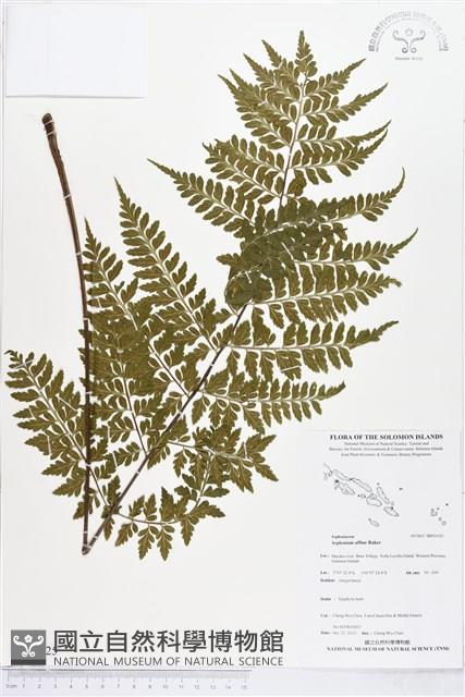 登錄號:BP01925藏品圖，第1張