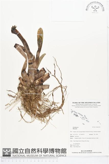 登錄號:BS01925藏品圖，第1張