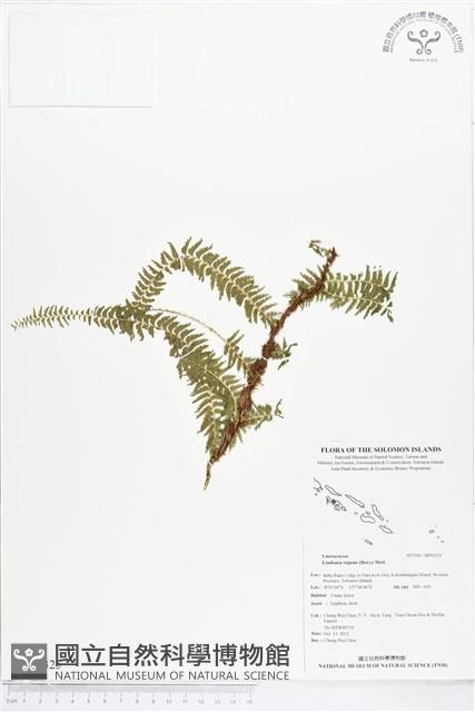 登錄號:BP00325藏品圖，第1張