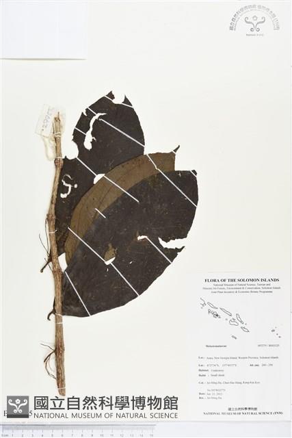 登錄號:BS03325藏品圖，第1張