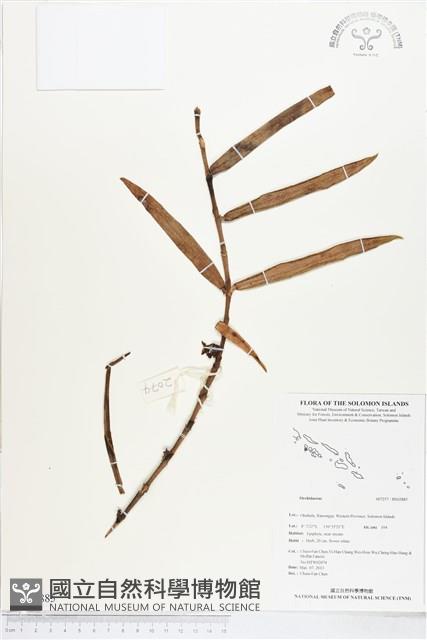 登錄號:BS02885藏品圖，第1張