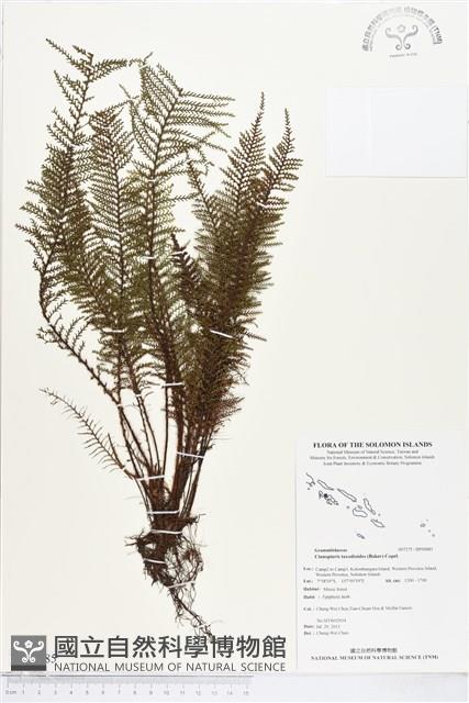 登錄號:BP00885藏品圖，第1張