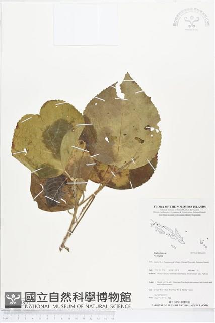 登錄號:BS04885藏品圖，第1張