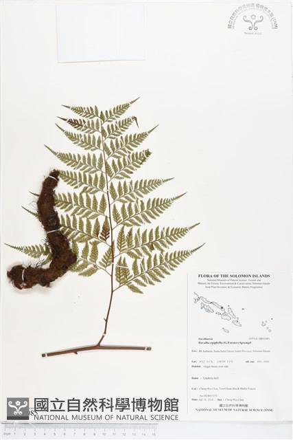 登錄號:BP02085藏品圖，第1張