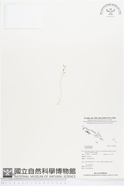 登錄號:BS02085藏品圖，第1張