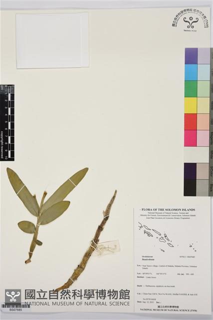 登錄號:BS07685藏品圖，第1張