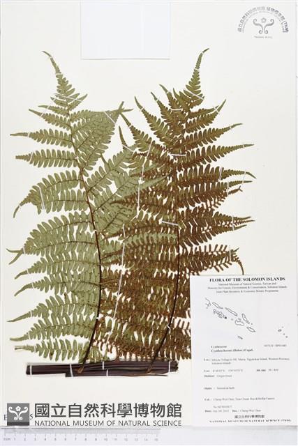 登錄號:BP01485藏品圖，第1張