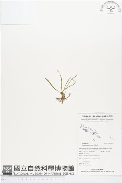 登錄號:BS01485藏品圖，第1張