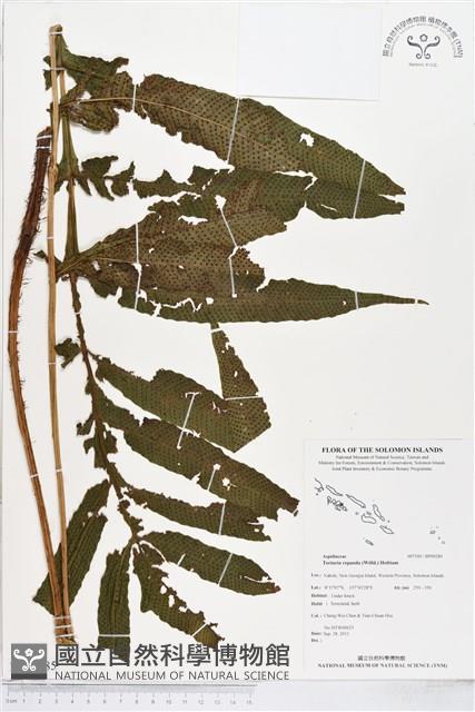 登錄號:BP00285藏品圖，第1張