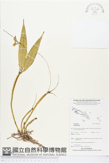 登錄號:BS04285藏品圖，第1張