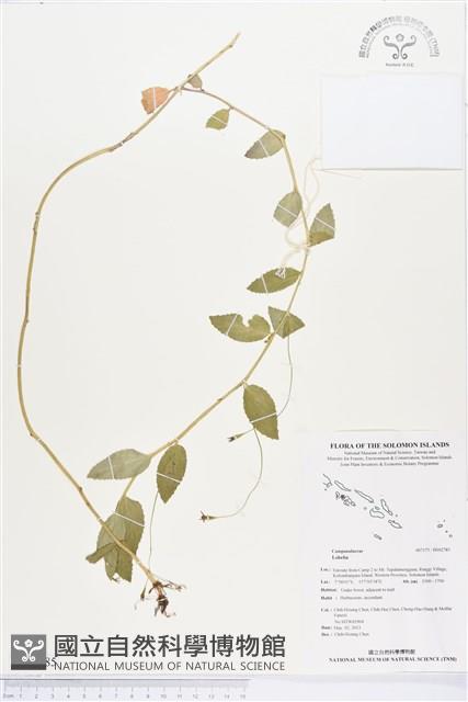 登錄號:BS02785藏品圖，第1張