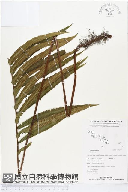 登錄號:BP00785藏品圖，第1張