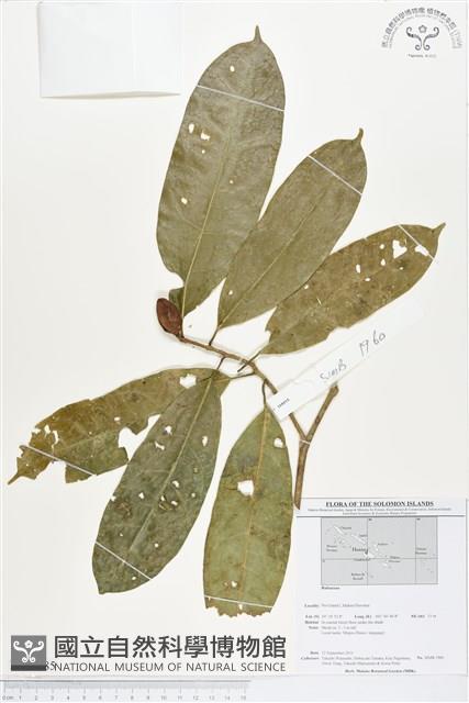 登錄號:BS01785藏品圖，第1張