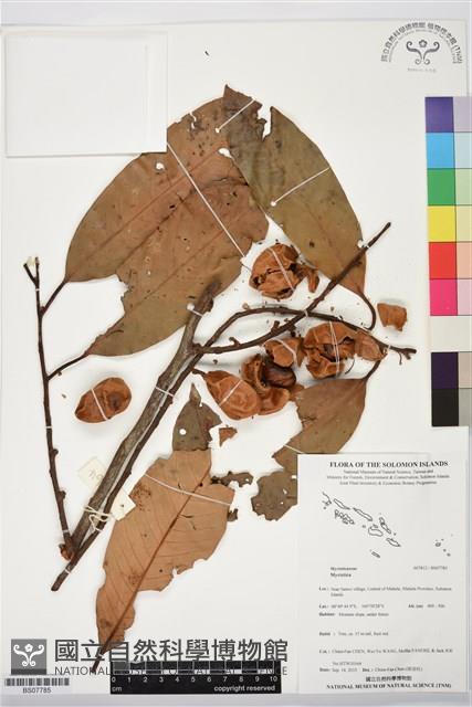 登錄號:BS07785藏品圖，第1張