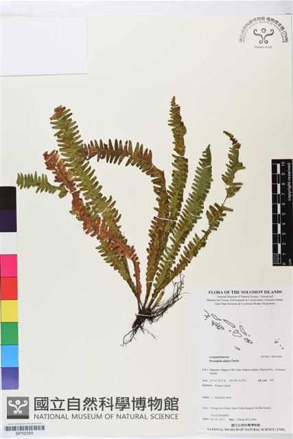 登錄號:BP02585藏品圖，第1張