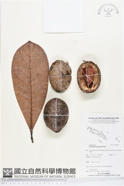 登錄號:BS04985藏品圖，第1張